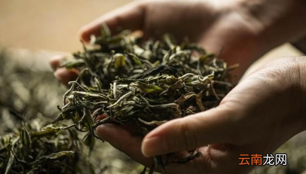 宝塔诗茶带拼音 茶宝塔诗注音版