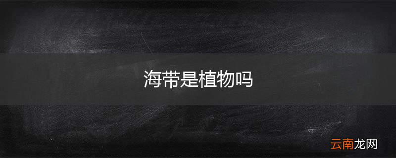 海带是植物吗