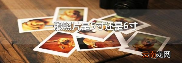 一般照片是5寸还是6寸
