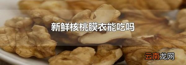 新鲜核桃膜衣能吃吗
