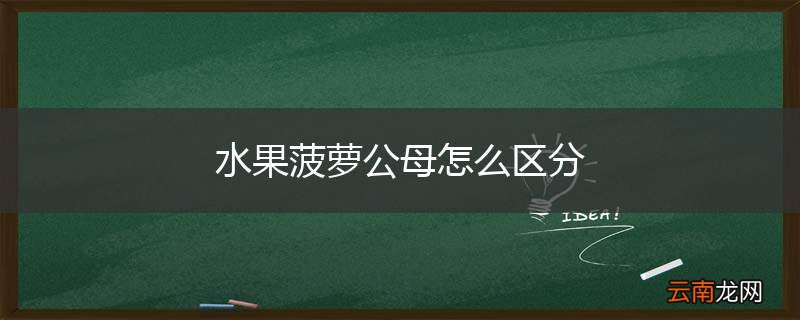 水果菠萝公母怎么区分