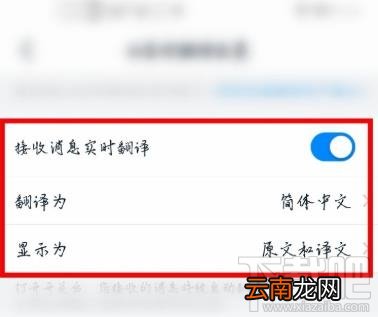 钉钉怎么设置实时翻译聊天内容？钉钉消息自动翻译的方法