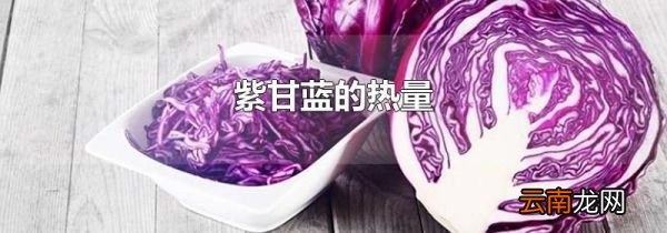 紫甘蓝的热量