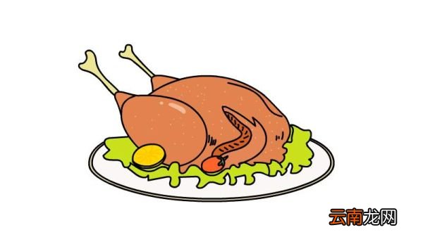 火鸡美食简笔画