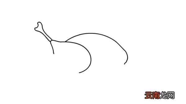 火鸡美食简笔画
