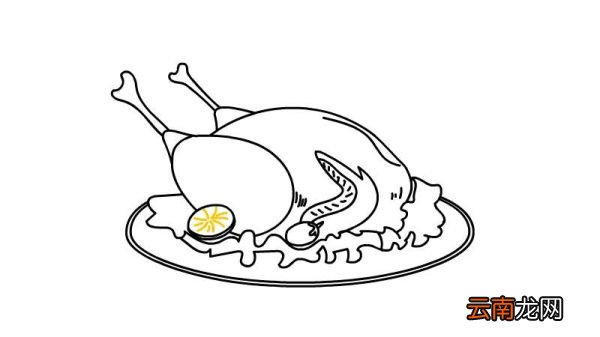 火鸡美食简笔画