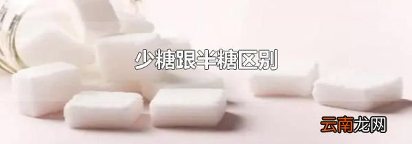 少糖跟半糖区别