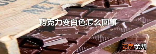 巧克力变白色怎么回事