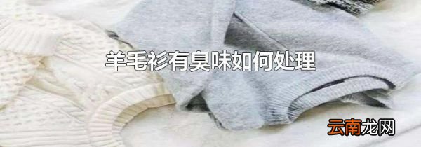 羊毛衫有臭味如何处理