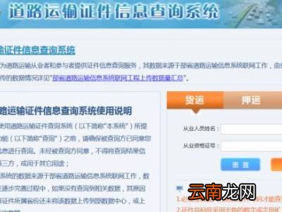 江苏南京电子版客运从业资格证怎么查