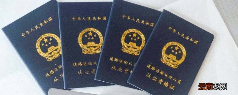 江苏南京电子版客运从业资格证怎么查