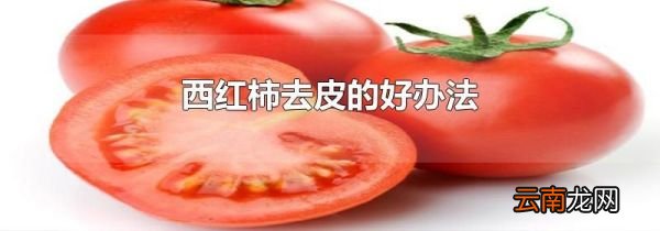 西红柿去皮的好办法