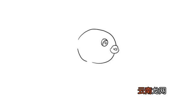 鱼简笔画图片大全大图 鱼简笔画画法