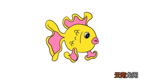 鱼简笔画图片大全大图 鱼简笔画画法