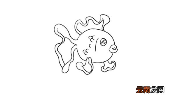 鱼简笔画图片大全大图 鱼简笔画画法