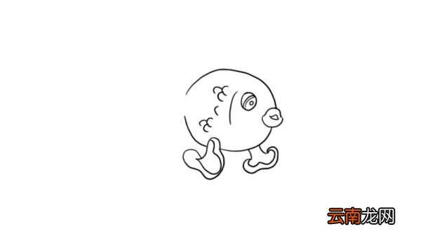 鱼简笔画图片大全大图 鱼简笔画画法