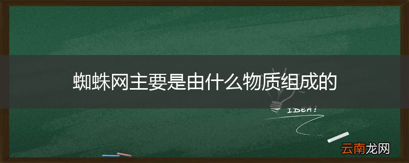 蜘蛛网主要是由什么物质组成的