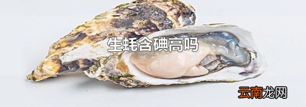 生蚝含碘高吗