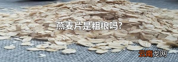 燕麦片是粗粮吗?