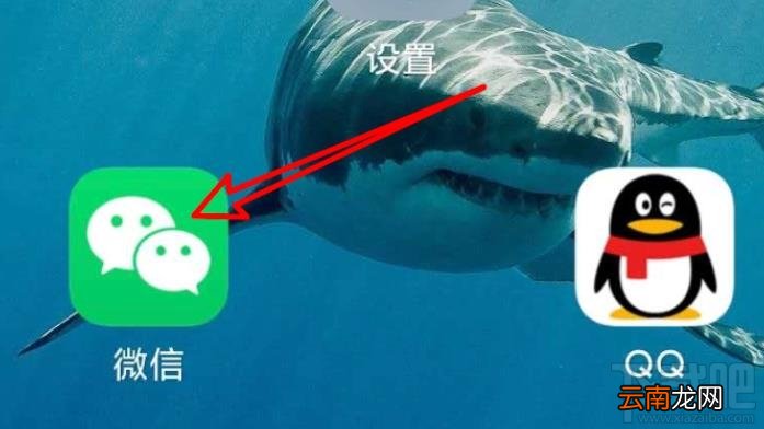 微信在哪领武汉消费券？微信领取武汉5亿消费券攻略