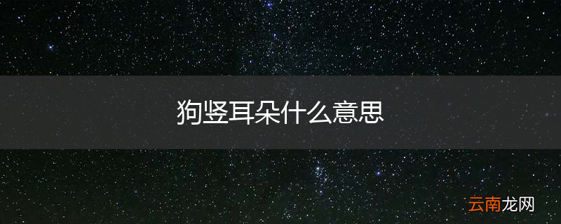 狗竖耳朵什么意思