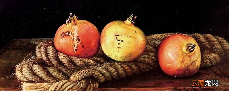 软籽石榴的保存方法