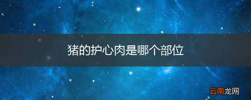 猪的护心肉是哪个部位