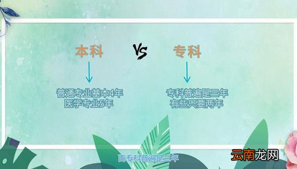 本科和专科的区别 本科和专科有什么不一样