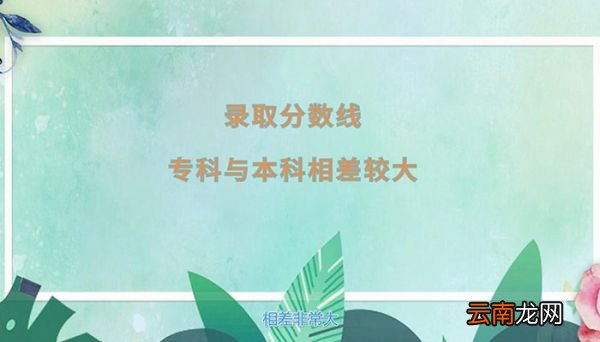 本科和专科的区别 本科和专科有什么不一样