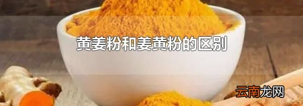黄姜粉和姜黄粉的区别