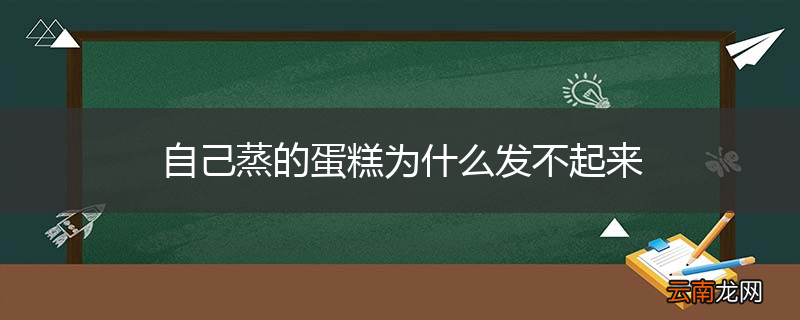 自己蒸的蛋糕为什么发不起来