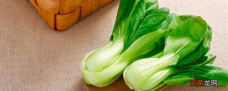 过年吃青菜寓意是什么