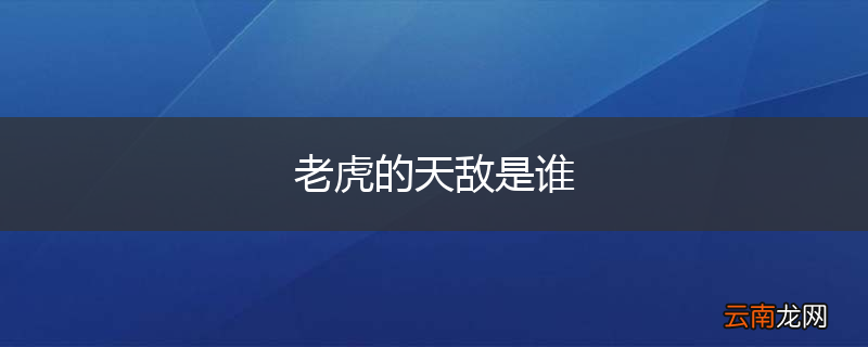 老虎的天敌是谁
