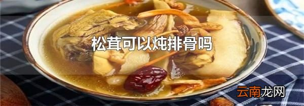 松茸可以炖排骨吗