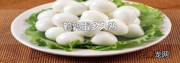 鹌鹑蛋多久熟