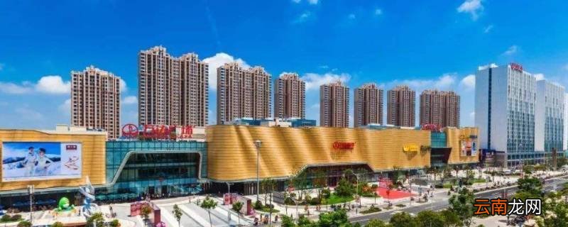 2022年金山中考一模人数