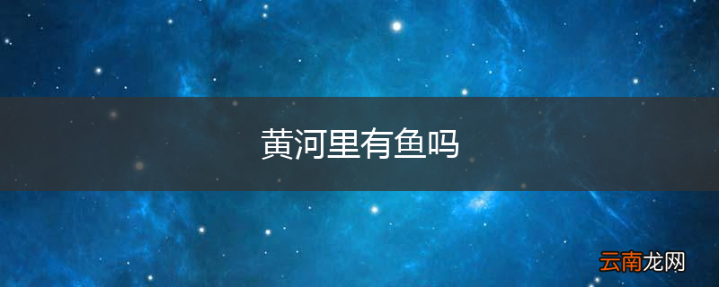 黄河里有鱼吗