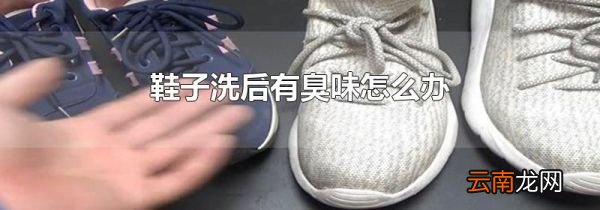鞋子洗后有臭味怎么办