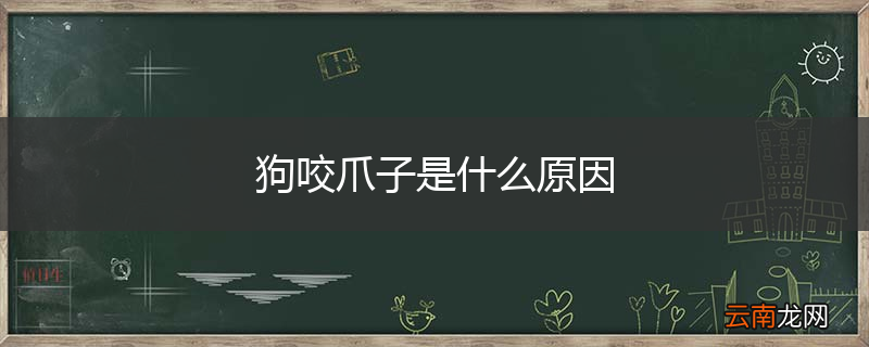 狗咬爪子是什么原因