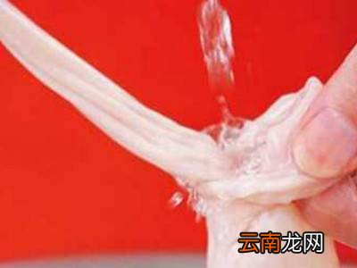 猪肠衣怎么洗才干净