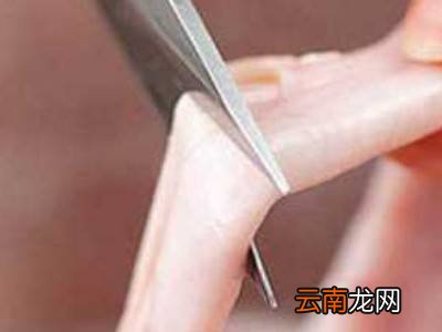 猪肠衣怎么洗才干净