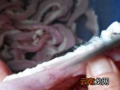猪肠衣怎么洗才干净