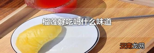 榴莲好吃吗什么味道