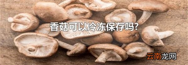 香菇可以冷冻保存吗?
