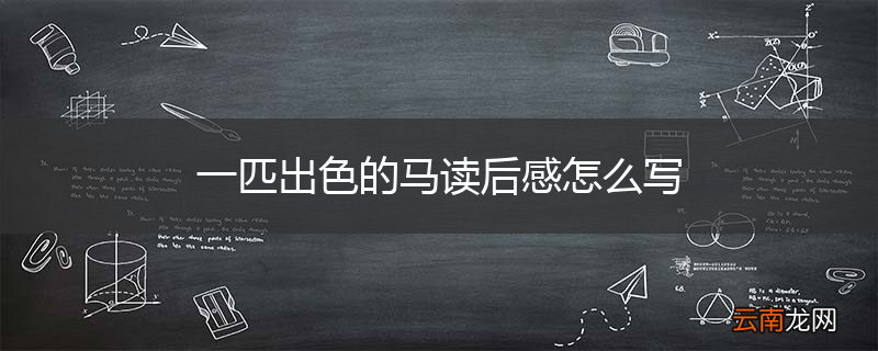一匹出色的马读后感怎么写