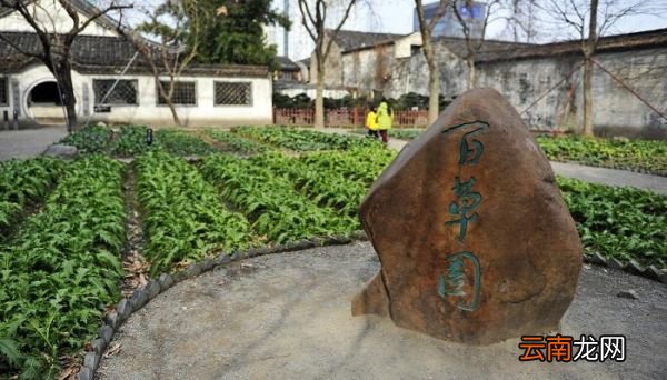 从百草园到三味书屋主旨 从百草园到三味书屋主题思想