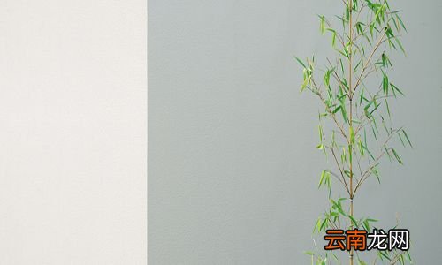 装修选啥样的乳胶漆好 装修用什么乳胶漆好