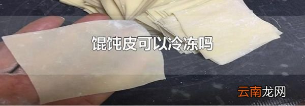 馄饨皮可以冷冻吗