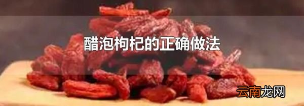 醋泡枸杞的正确做法