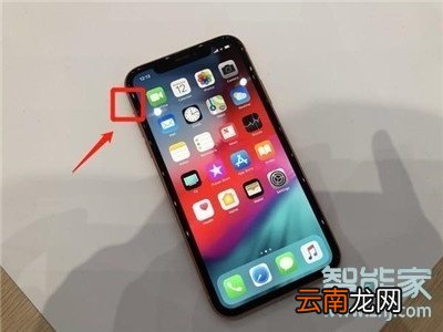 苹果11快门声音怎么关